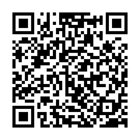 QR code for CAI919