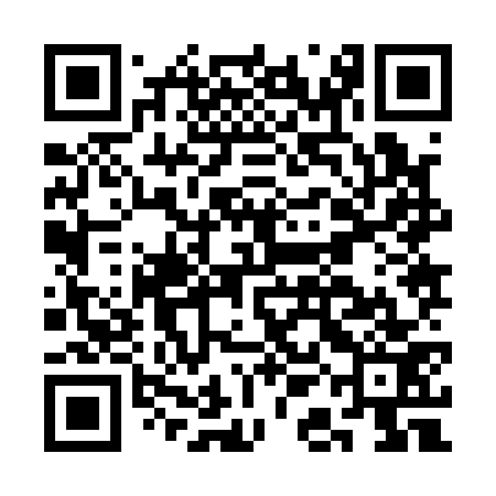 QR code for CAJ173
