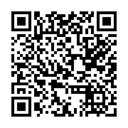 QR code for CAM317