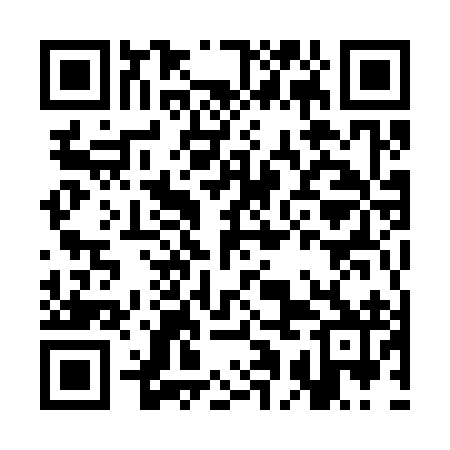 QR code for CAM392