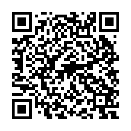 QR code for CAR203