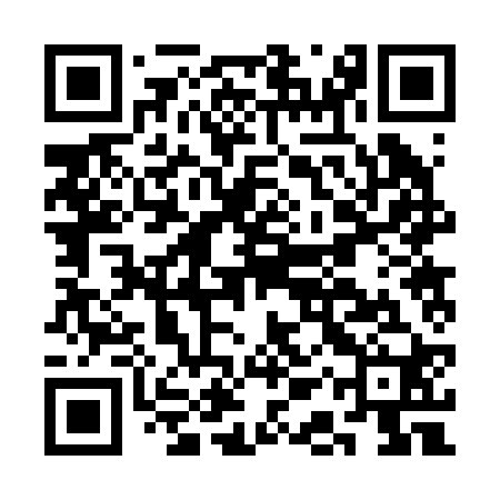 QR code for CAR220