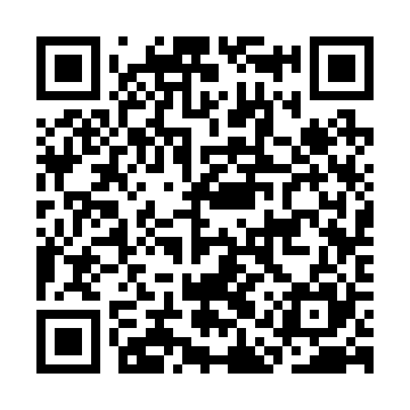 QR code for CAS225
