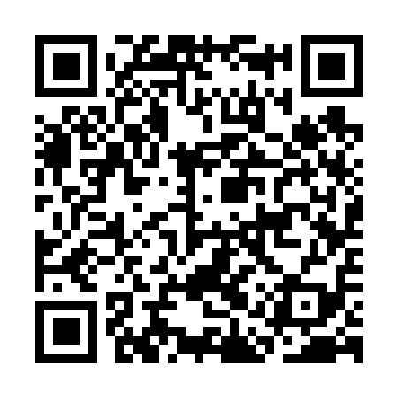 QR code for CAS619