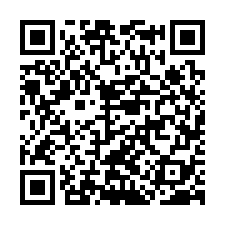 QR code for CAV379