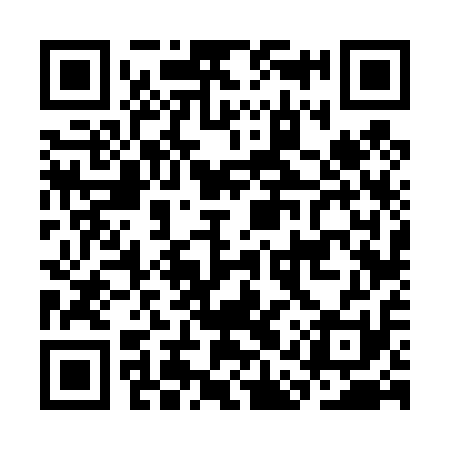 QR code for CAV411