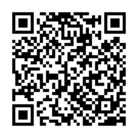 QR code for CBI411