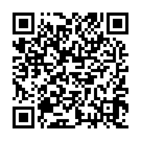 QR code for CCD919