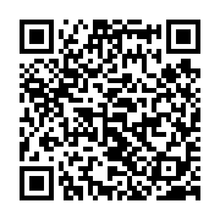 QR code for CCG699