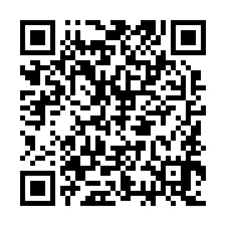 QR code for CCL295