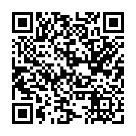 QR code for CCP333