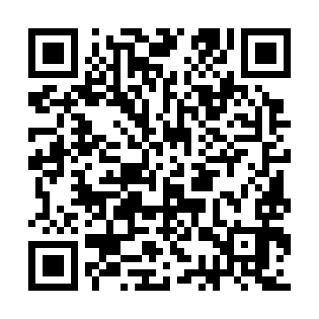 QR code for CCU393