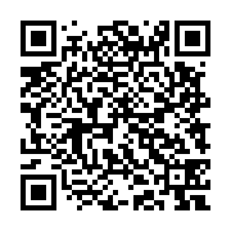 QR code for CDD538