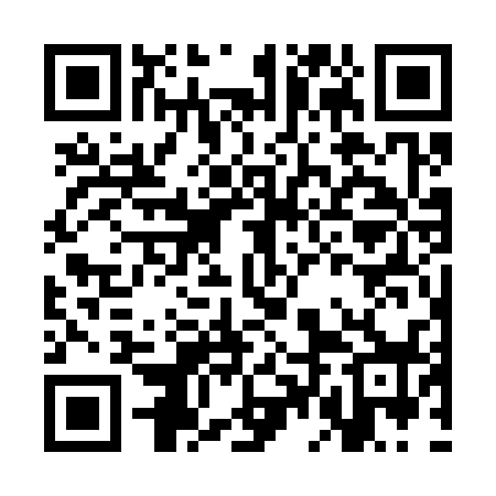QR code for CDG338