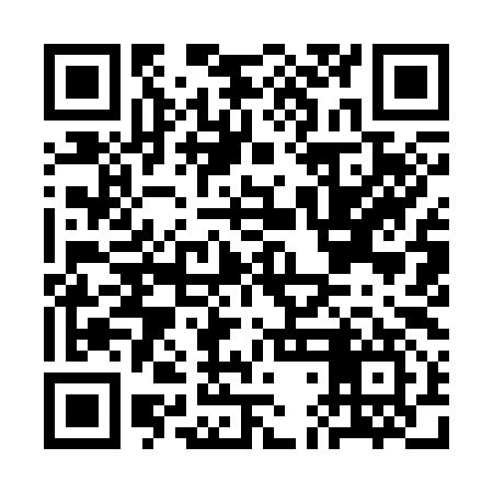 QR code for CDI397