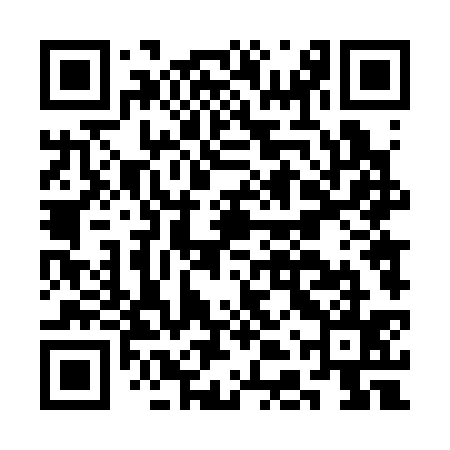 QR code for CDT335