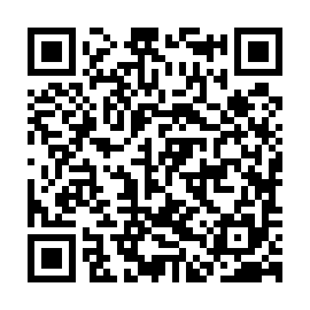 QR code for CDZ595