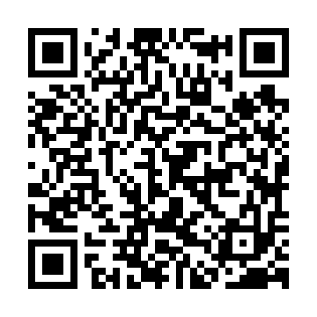QR code for CDZ613
