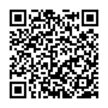 QR code for CEF511