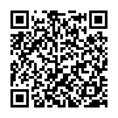 QR code for CEO295