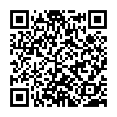 QR code for CEO838