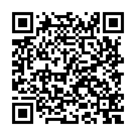 QR code for CEX919