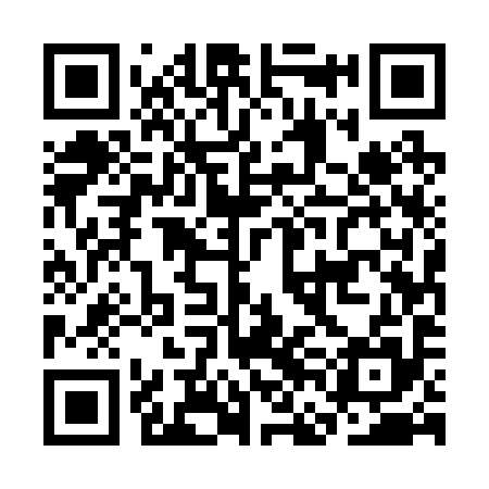 QR code for CFE295