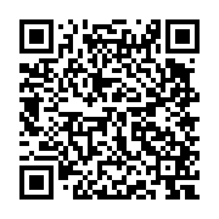 QR code for CFE441