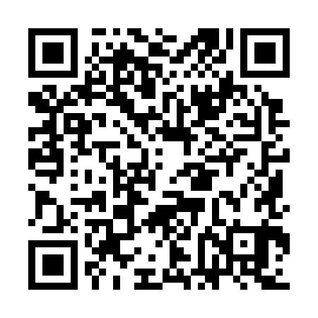 QR code for CFI381