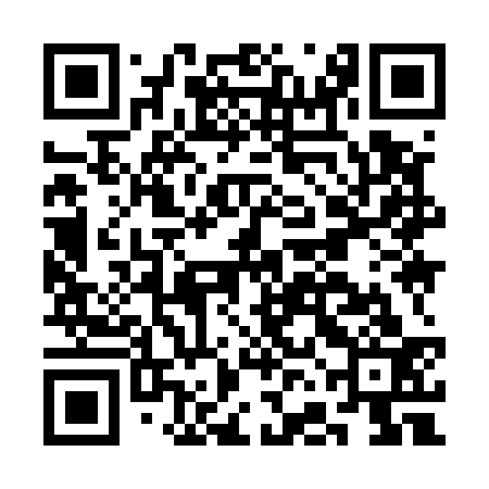 QR code for CFI533