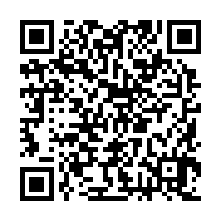 QR code for CGI384