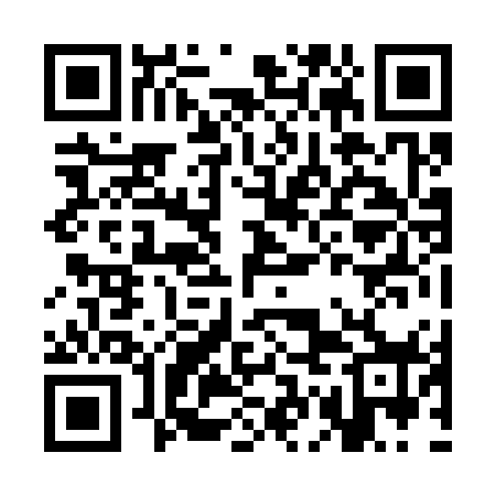QR code for CGJ378