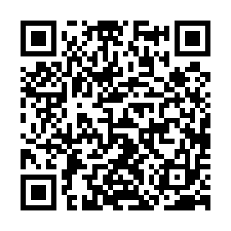 QR code for CGP513