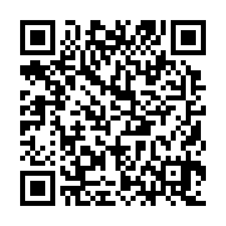 QR code for CHA335
