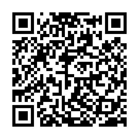 QR code for CHE439