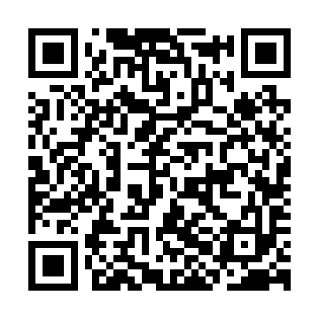 QR code for CHF293