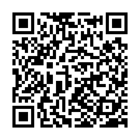 QR code for CHF729