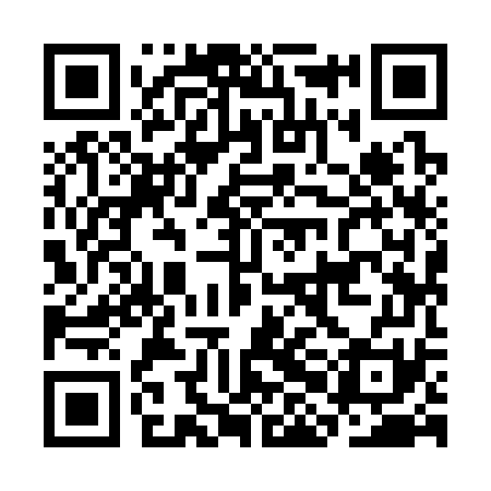QR code for CHI371
