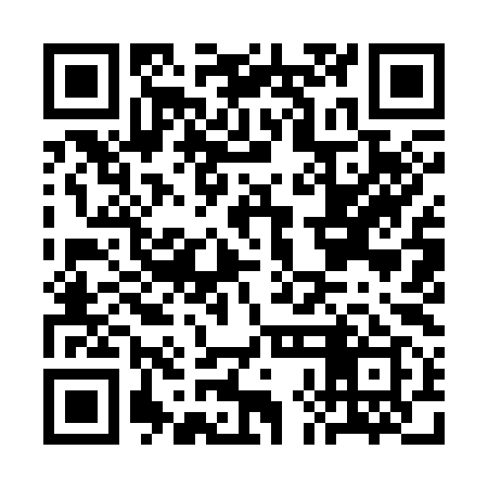 QR code for CHI399