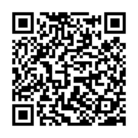 QR code for CHI409