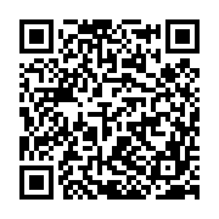 QR code for CHI456