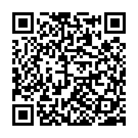 QR code for CHI569