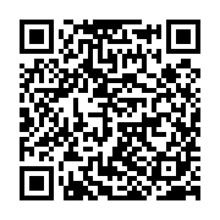 QR code for CHI581