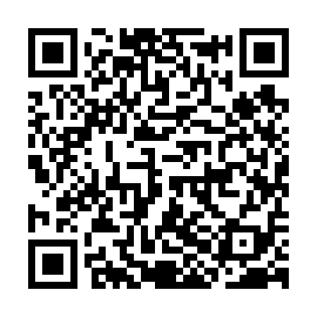 QR code for CHI619