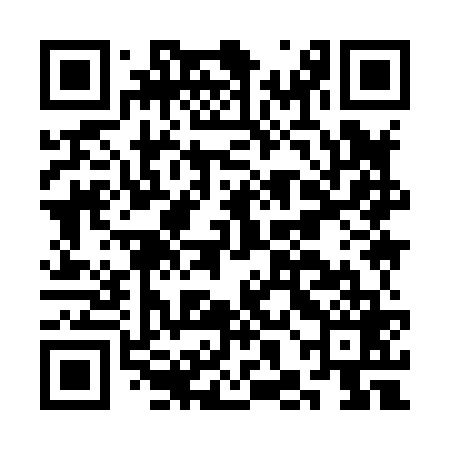 QR code for CHI869