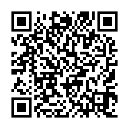 QR code for CHI911