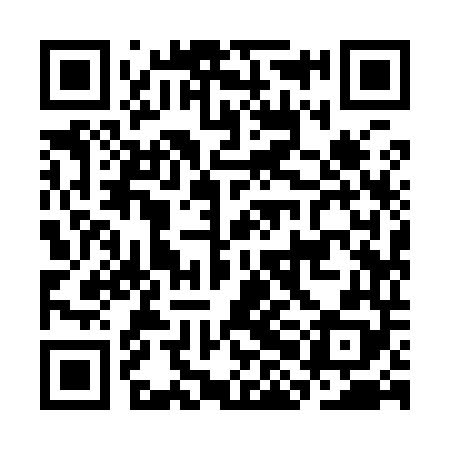 QR code for CHI948