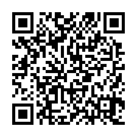 QR code for CHJ335