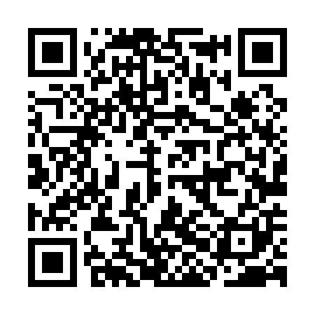 QR code for CHL101