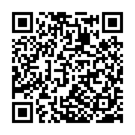 QR code for CHM290